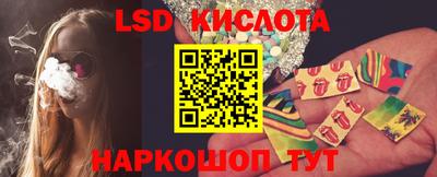 спиды Кингисепп