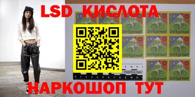 2c-b Кимры