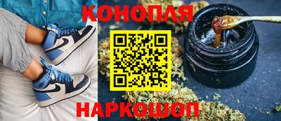 сатива Кинель