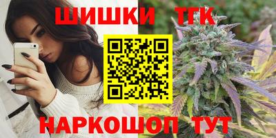 спиды Кингисепп