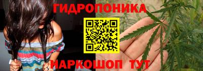 спиды Кингисепп