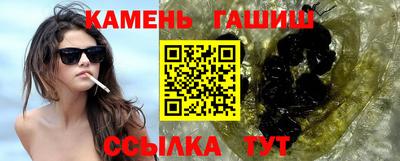 спиды Кингисепп